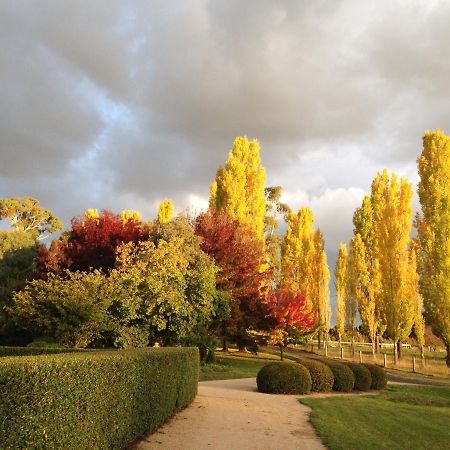 Glen Waverly Farmstay Glen Innes Exterior photo