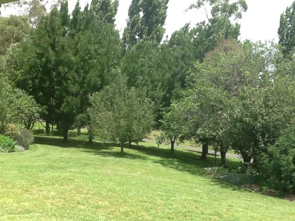 Glen Waverly Farmstay Glen Innes Room photo