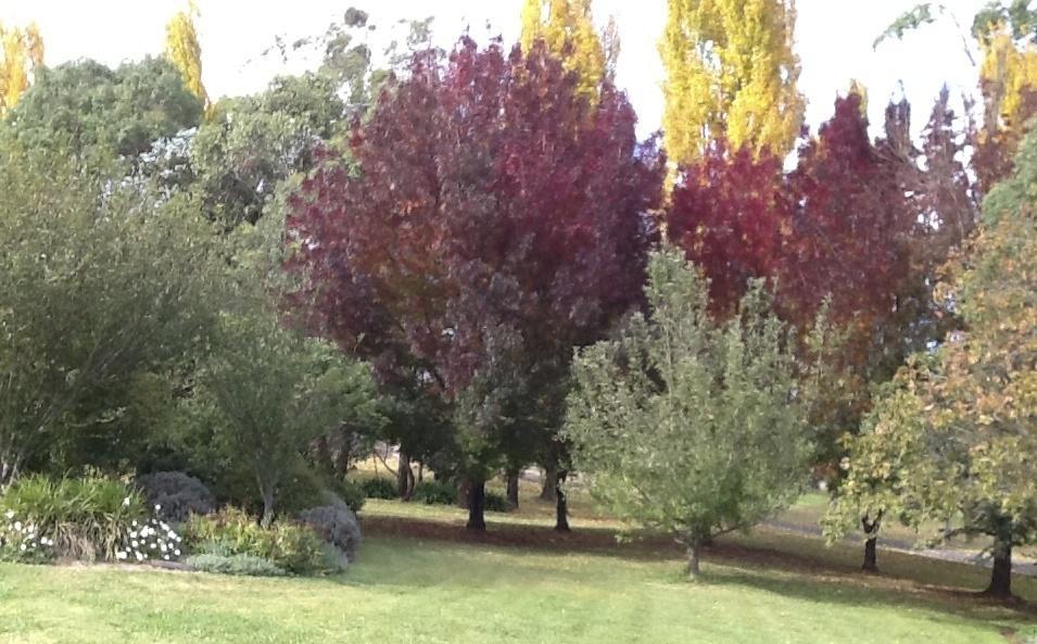Glen Waverly Farmstay Glen Innes Room photo