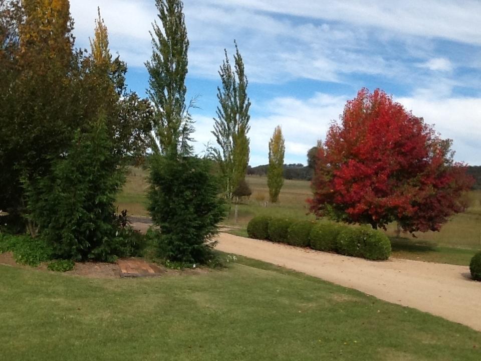 Glen Waverly Farmstay Glen Innes Room photo